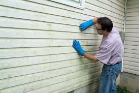 Best Siding Painting and Refinishing  in Snellville, GA